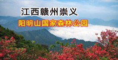 巨屌战嫩屄